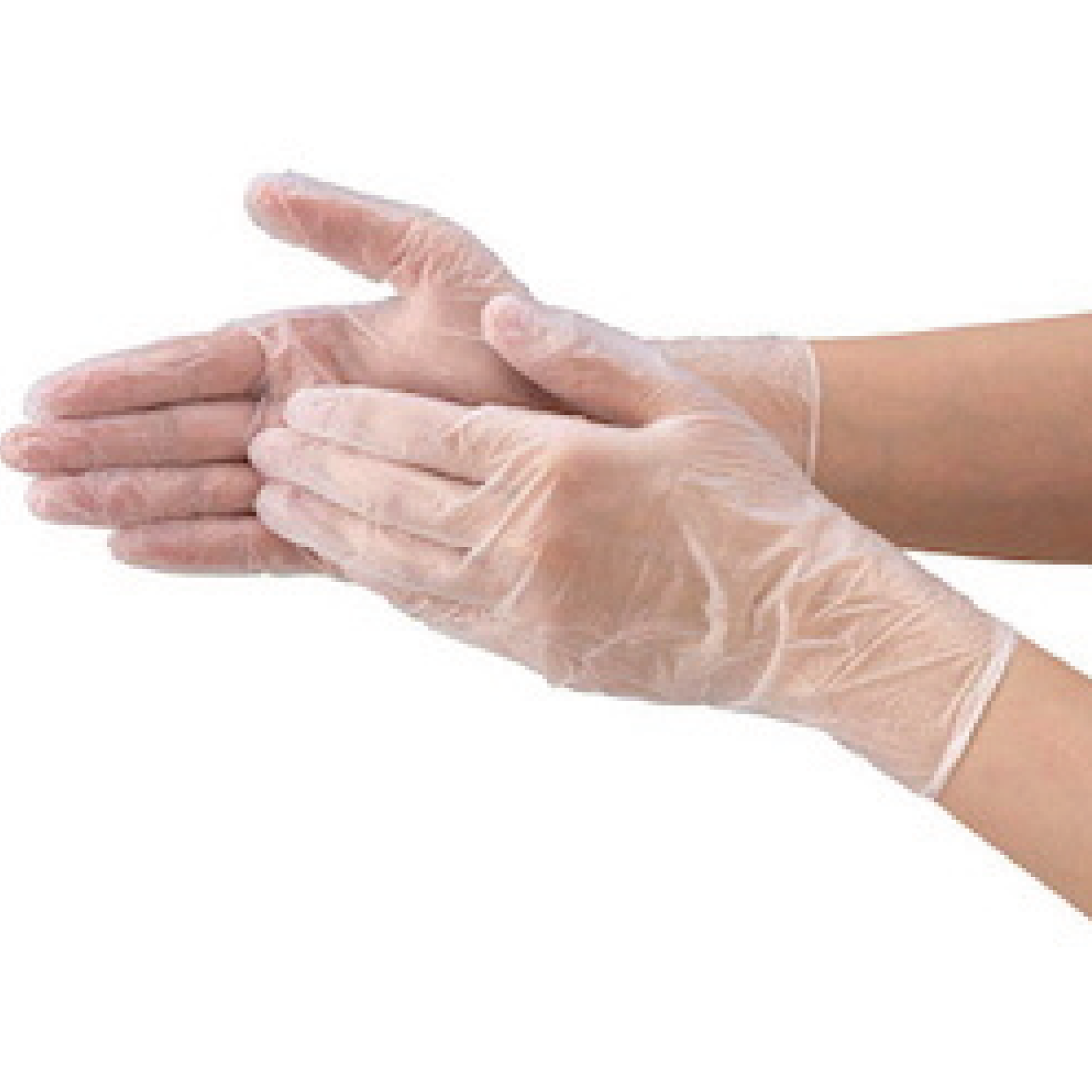 Clear Vinyl Gloves